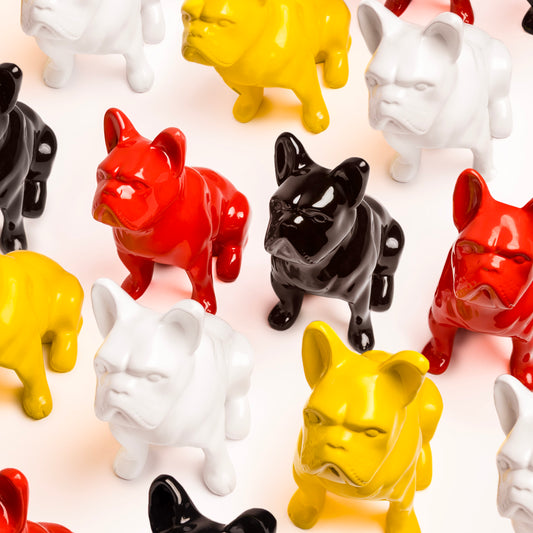 Dongol - The French Bulldog - Jackie's