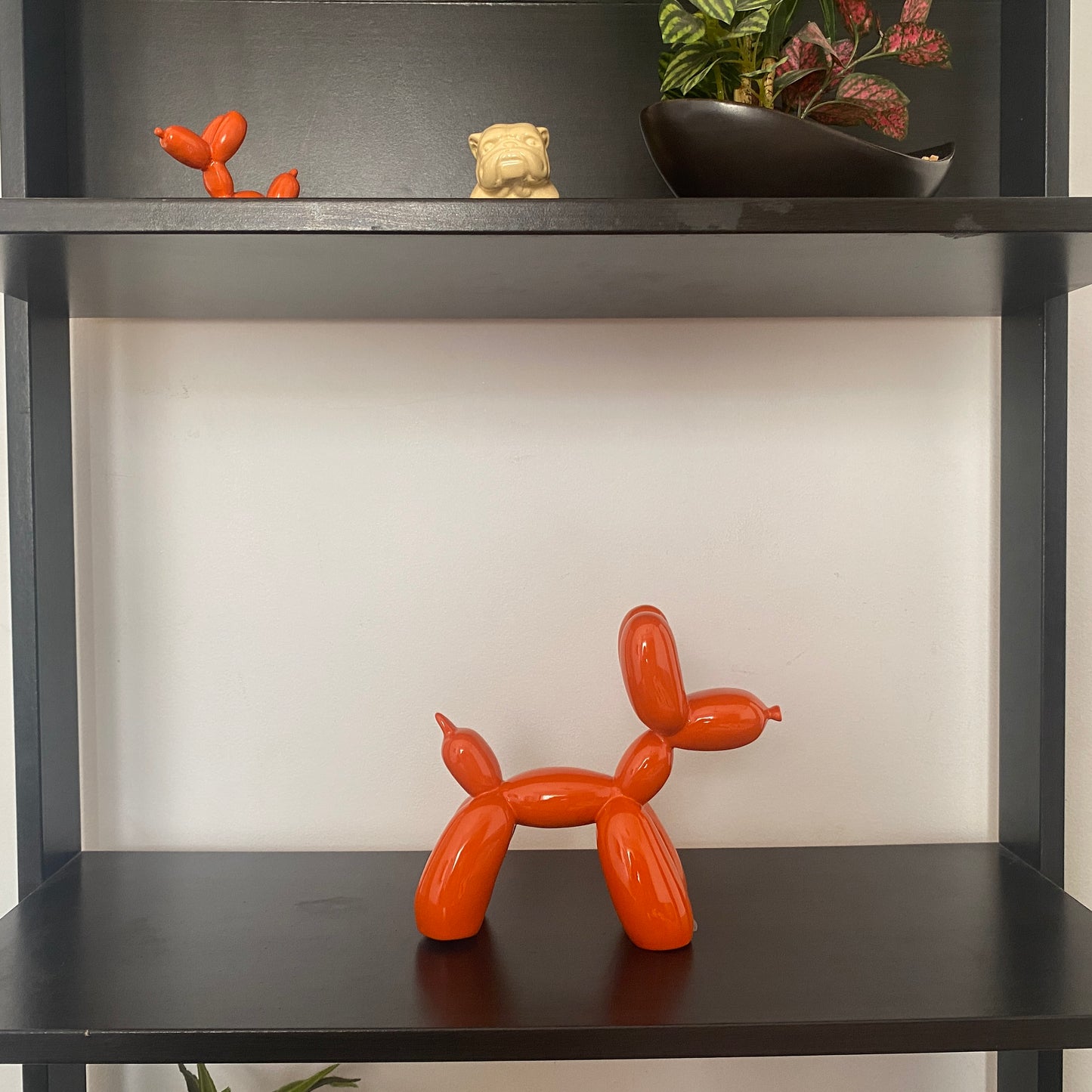 Bobby - The Balloon Dog