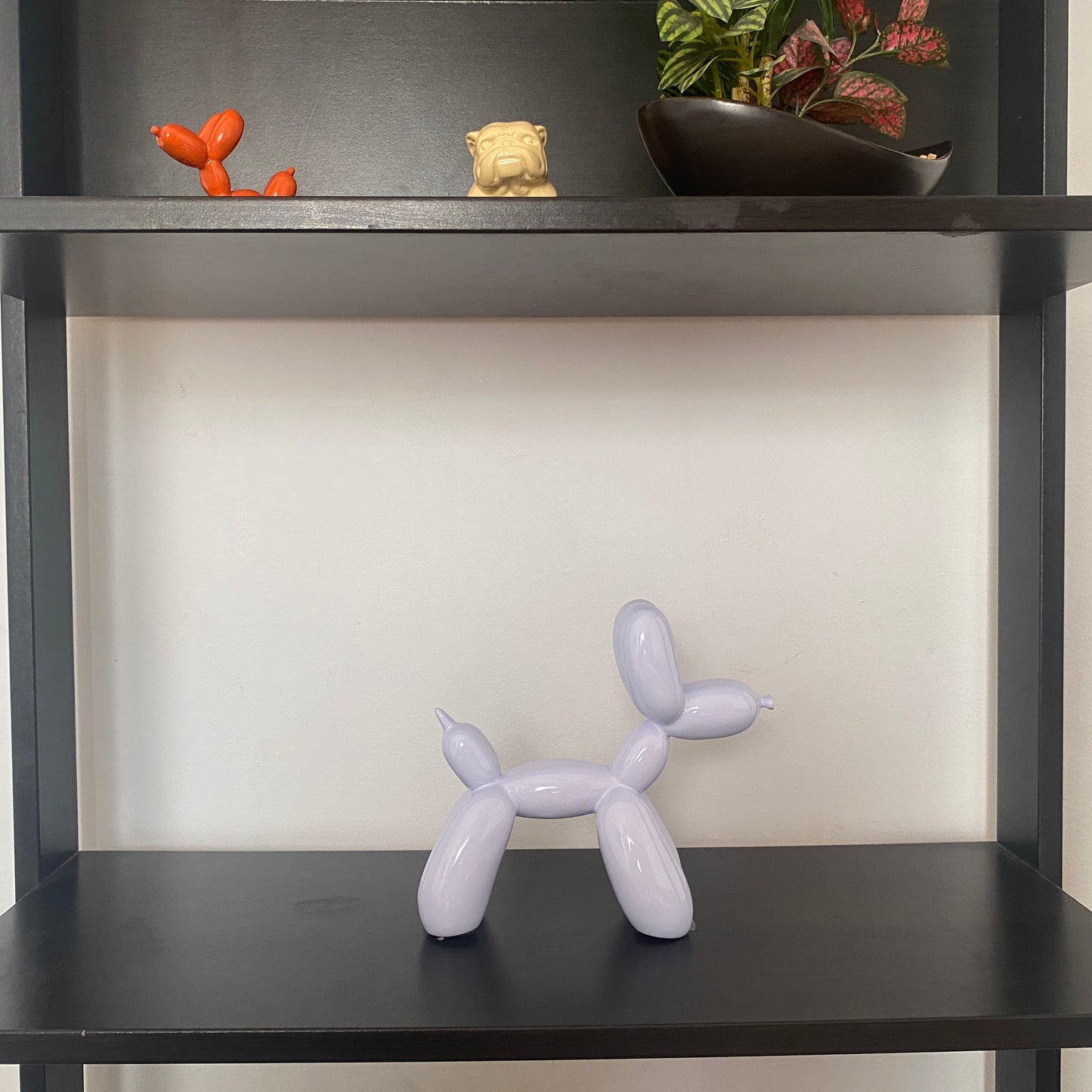 Bobby - The Balloon Dog