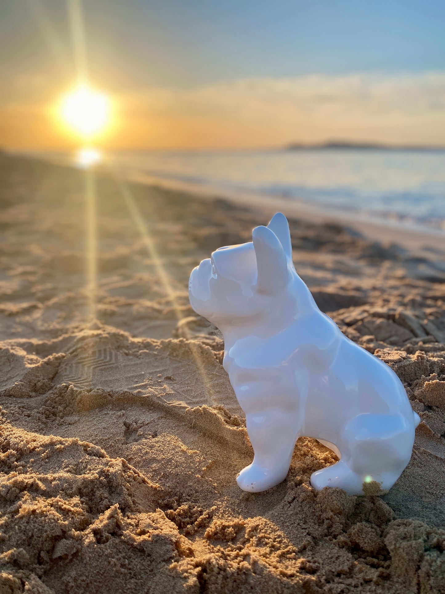 Dongol - The French Bulldog