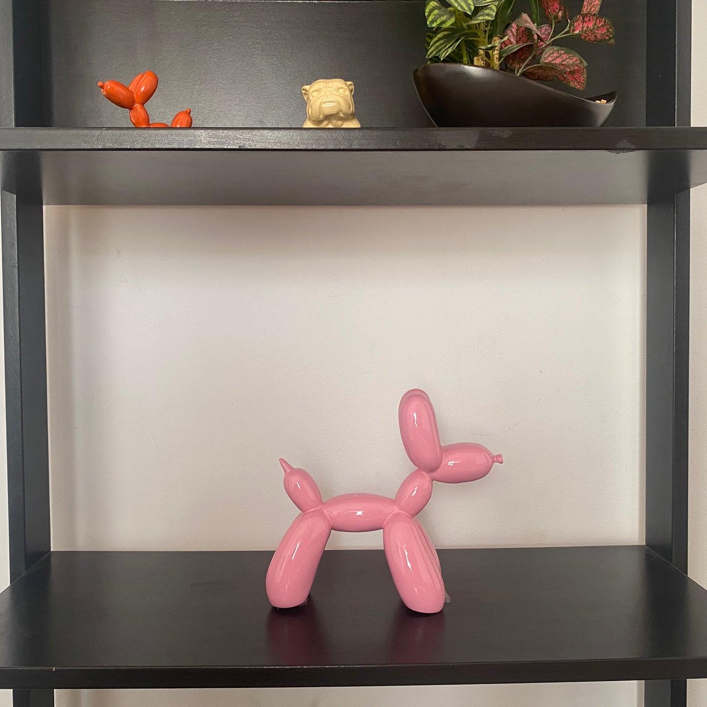 Bobby - The Balloon Dog
