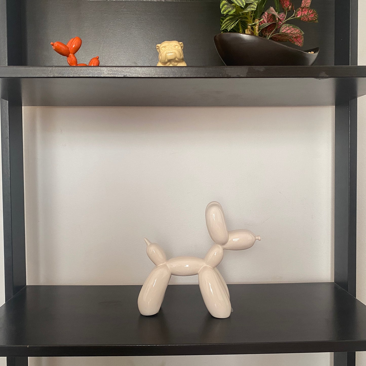 Bobby - The Balloon Dog