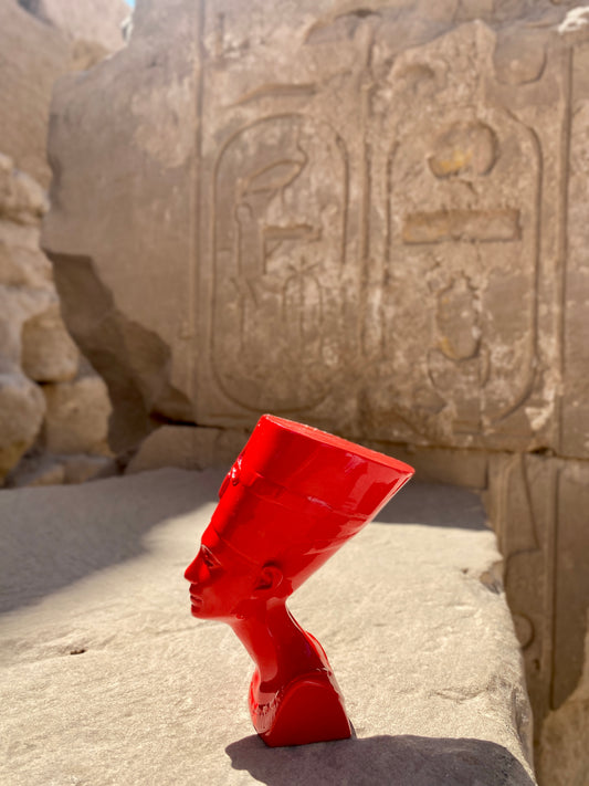 Mini Titi - Jackie's