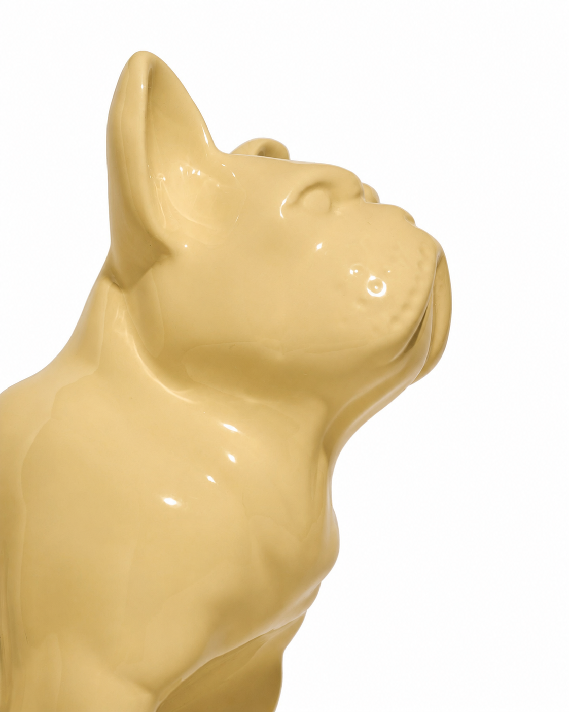 Cute French Bulldog named Dongol from Jackie's, sitting outdoors with a playful expression and fluffy fur.